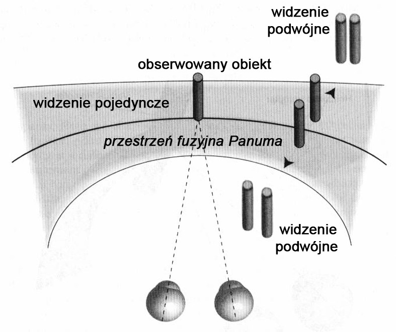 B. KUNKA, SYSTEM ŚLEDZENIA PUNKTU FIKSACJI WZROKU JAKO NARZĘDZIE... Rys. 2.