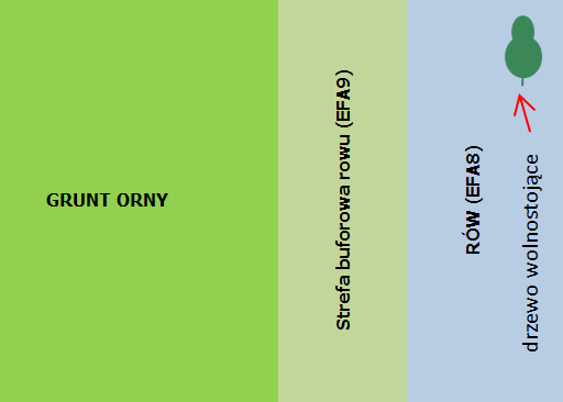 Żywopłot do 2 m Rów do 6 m Trwały użytek zielony Żywopłot 8 m Rów do 6 m Trwały użytek zielony Zarówno strefa buforowa, jak i rów, mogą byd zaliczone, jako obszary proekologiczne.