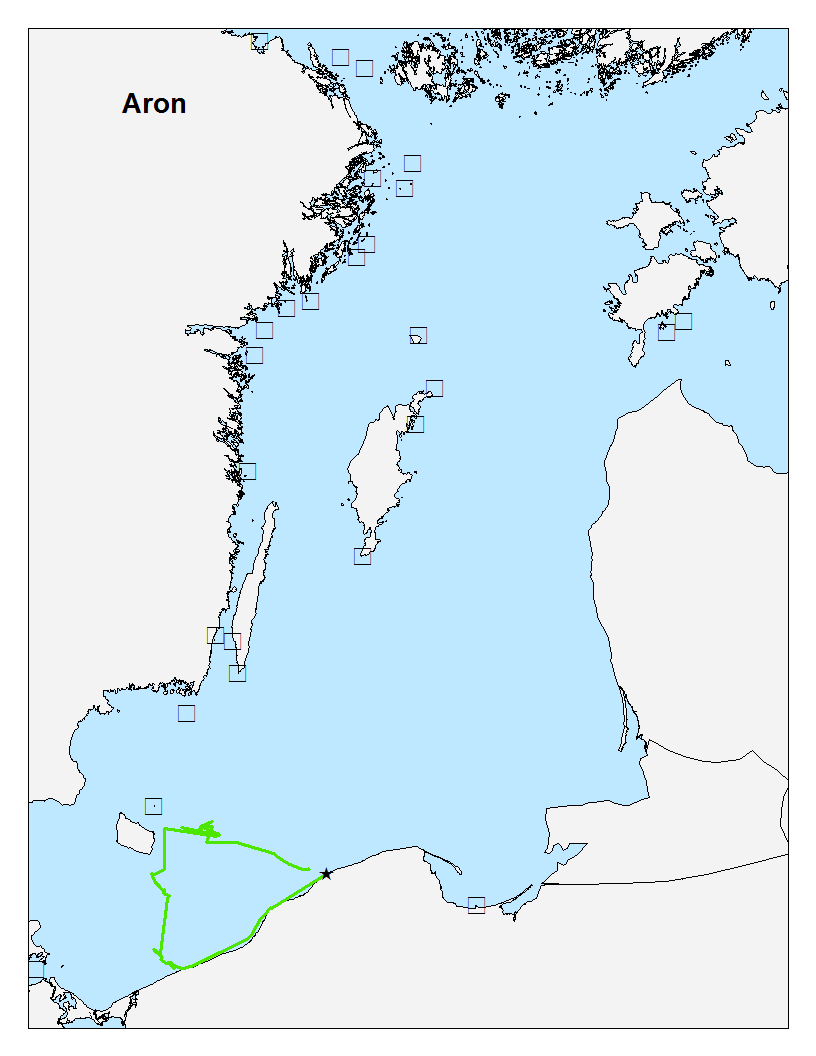 Przyłów fok jest obecnie najczęstszym powodem zgonów fok w Bałtyku i nie tylko. Niestety nadajnik Lugiera został odcięty.