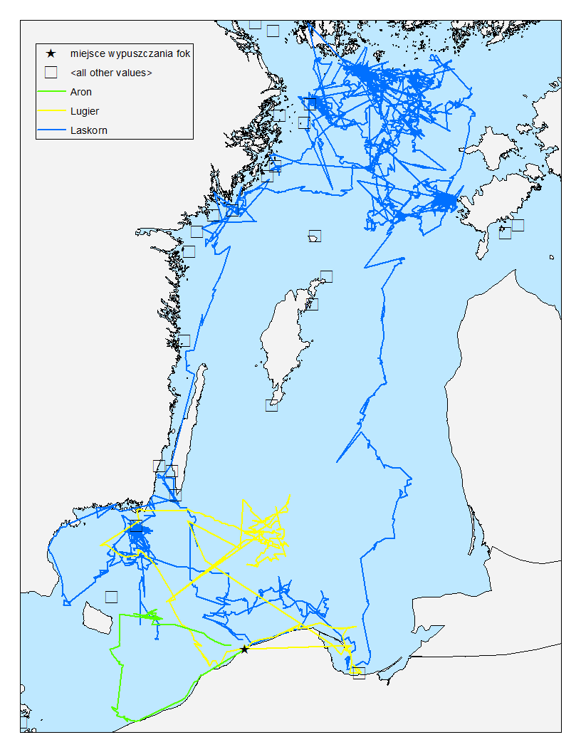 Mapa wędrówek fok wypuszczonych w czerwcu 2012; dane