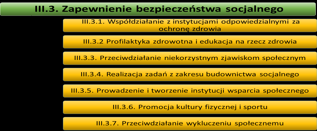 III.3.1. Współdziałanie z instytucjami odpowiedzialnymi za ochronę zdrowia Odpowiedni poziom, zakres i dostępność usług medycznych to jeden z głównych czynników wpływających na jakość życia w mieście.