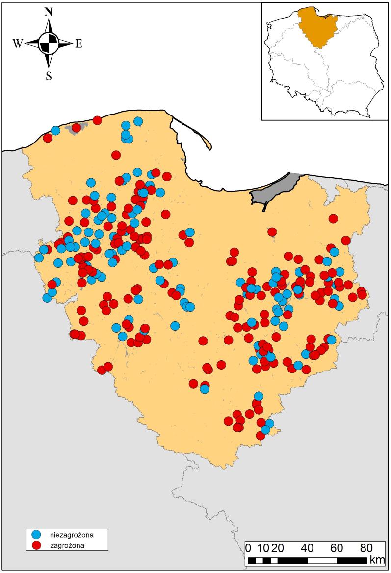 Ocena zagrożenia JCWP jeziornych Ocena ryzyka niespełnienia celów: na podstawie danych monitoringowych z lat 2007-2013 - 123 JCWP jezior: 45 niezagrożone; 78