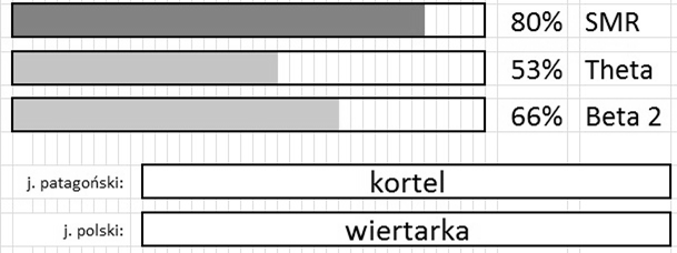 Terapeuta dysponuje swoim własnym monitorem, który wyświetla zawartość niewidoczną dla badanego (rys. 2). Rysunek 2.