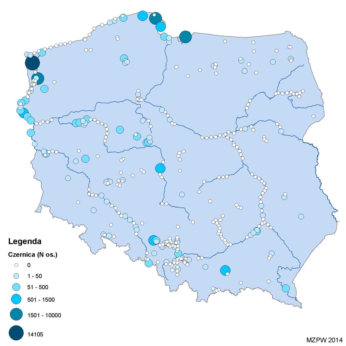 Czernica Drugi pod względem liczebności gatunek z grupy gatunków podstawowych. Jej liczebność na skontrolowanych obiektach wyniosła 47 331 osobników.