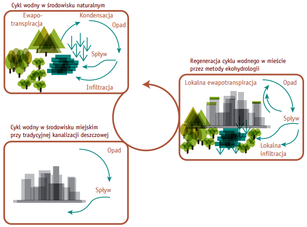 spływając z obszarów zurbanizowanych, zbierają z nich wszystkie nagromadzone tam wcześniej zanieczyszczenia.