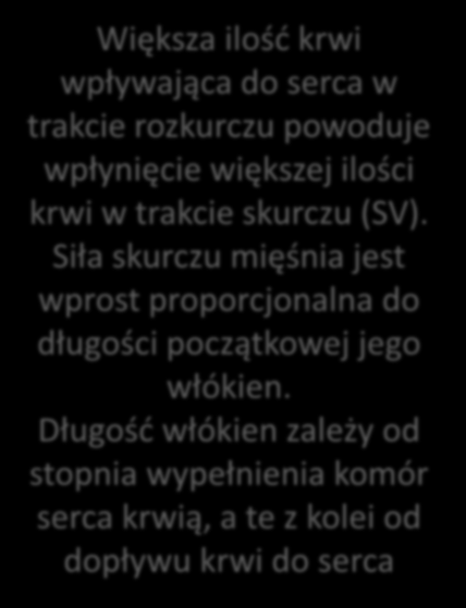 Pojemność minutowa serca (CO, cardiac output) wzrost napięcia współczulnego, ( napięcia wpływająca do serca w przywspółczulnego) CO, [ skurcz dużych łożysk trakcie rozkurczu powoduje naczyniowych z