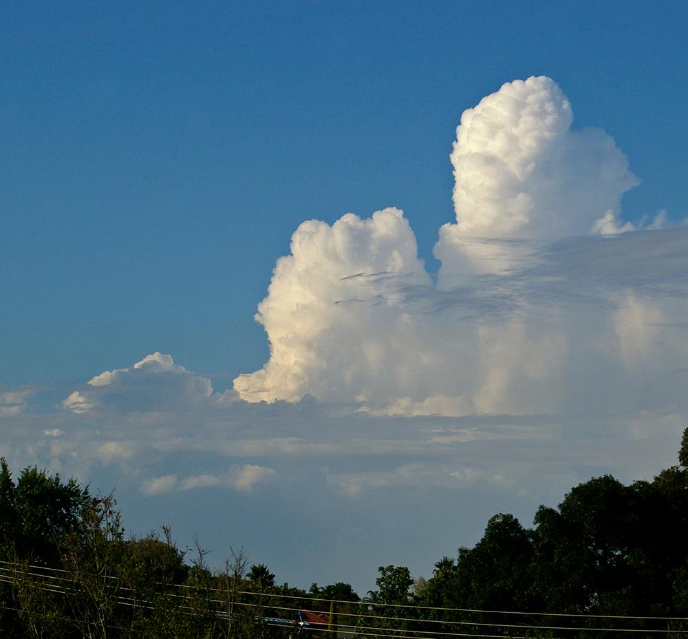 Cumulus