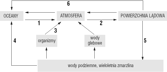 W miejscu kropek przy tych liczbach wpisz nazwy procesów wybrane spośród podanych. 2 p.