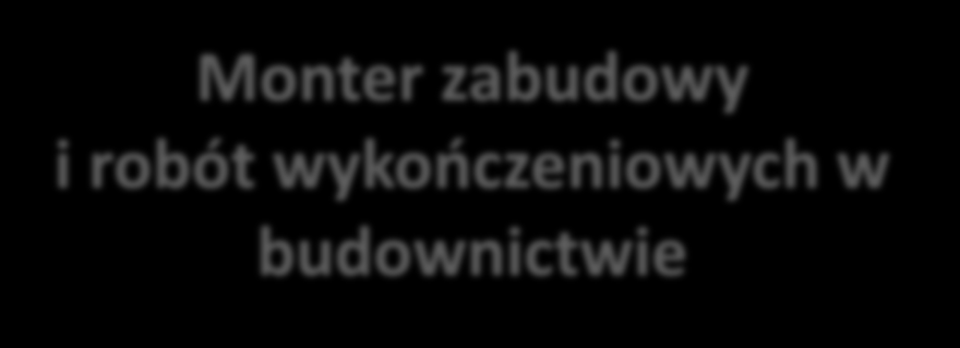 Monter zabudowy i robót wykończeniowych w budownictwie Montuje systemy suchej zabudowy Wykonuje roboty stolarsko - tapicerskie Wykonuje roboty posadzkarsko wykładzinowe Montuje ściany działowe,