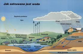 ZANIECZYSZCZENIA ORGANICZNE: PESTYCYDY Po II wojnie światowej nastąpił rozwój przemysłowy, co doprowadziło do gwałtownego upowszechnienia pestycydów.