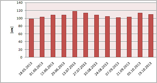 WYNIKI I ANALIZA BADAŃ Przezroczystości wody (widzialność krążka Secchiego) jest orientacyjną miarą przenikania promieni słonecznych przez wodę, która uwarunkowana jest obecnością w wodzie cząstek