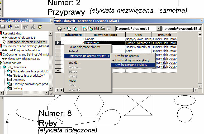 Etykieta pojawi się na rysunku jako etykieta niezwiązana (samotna) po wybraniu z menu podręcznego (w oknie Widok danych) opcji Ustawienia połączeń i etykiet Utwórz samotne etykiety.