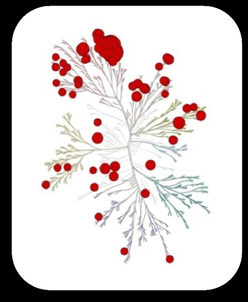 1. Kumar et al. Br J Cancer 2009; 101: 1717 23, 2. Karaman et al.