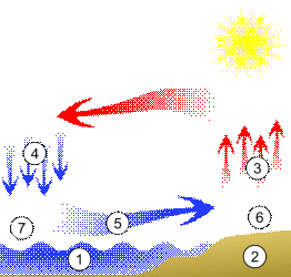 1. Przy przechodzeniu frontu chłodnego występują chmury: a) stratus, cumulus b) cumulus, cirrus c) cumulonimbus 2.