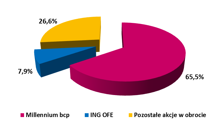 Notowania akcji Banku Millennium STRUKTURA AKCJONARIATU (na dzień 31.12.2014) KAPITALIZACJA RYNKOWA/DYNAMIKA PŁYNNOŚCI 5,6 5 421 5 362 2,9 8 737 4,1 10 069 5,9 2014 roczne notowania akcji vs.