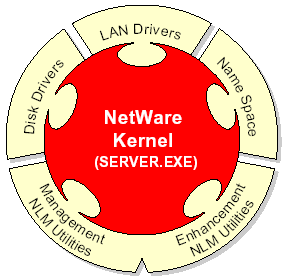 Kernel W systemie NetWare występują cztery rodzaje wczytywanych modułów: Programy obsługi dysków - sterują komunikacją między systemem operacyjnym serwera a urządzeniami pamięci masowej.