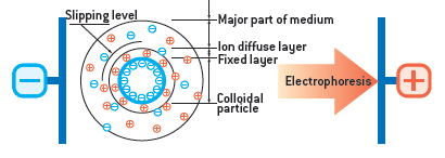 NanoPlus Analizator potencjału zeta i wielkości cząstek Zasada pomiaru potencjału zeta W większości przypadków, cząstki koloidalne posiadają ładunek elektrostatyczny dodatni lub ujemny.