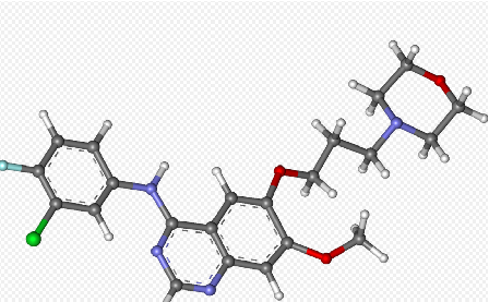 Gefitynib Inhibitor odwracalny Sygnał HER-1 Biodostępność 59% Wiązanie z białkami 90%