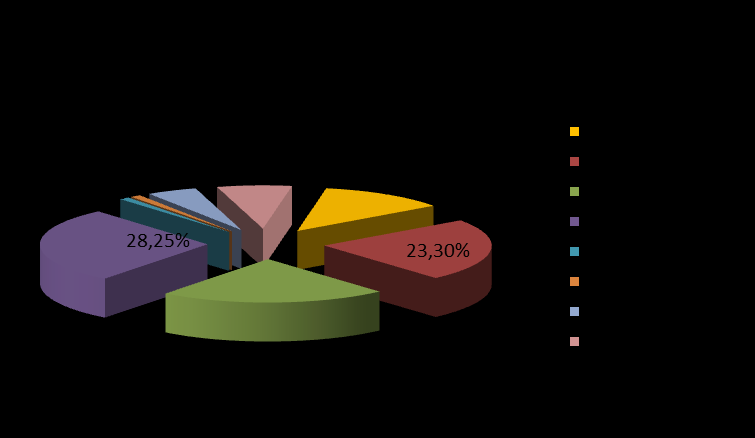 Nasi podróżni Wiek Cel podróży 7,13% 17,66% 6,89% 25,55% 8,14% 34,63% do/z