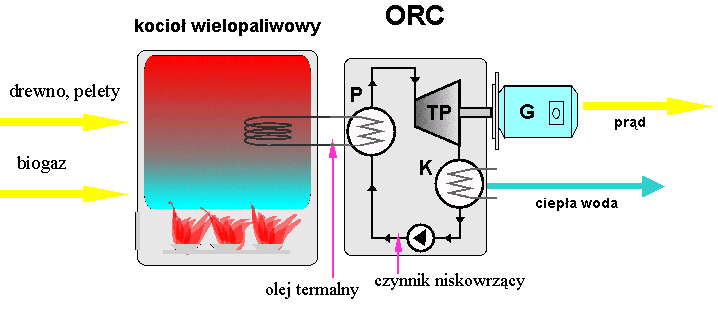 - założeń systemowych organizacji rynku surowca i produkcji biogazu o wysokiej zawartości metanu z biomasy pozyskiwanej z dedykowanych upraw roślin energetycznych oraz jej mieszaniny z