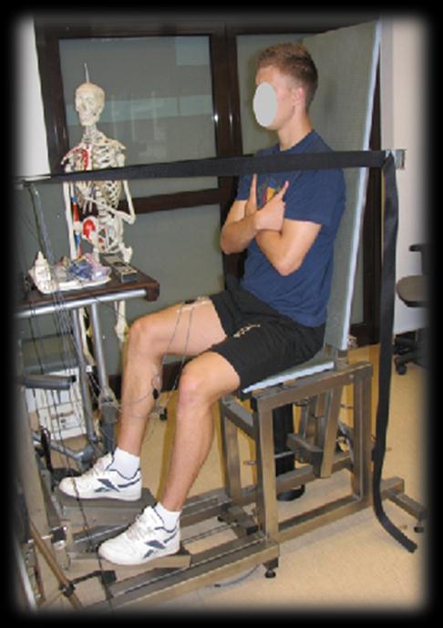 Badania doświadczalne Celem badao doświadczalnych było określenie wpływu pozycji ciała na czas reakcji na sytuacje nieprzewidziane oraz na zmęczenie mięśni.