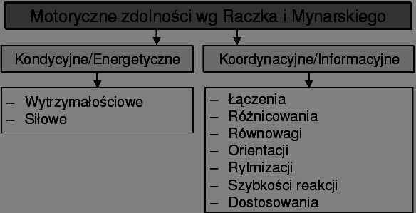 II. KSZTAŁTOWANIE CECH MOTORYCZNYCH 1. Podnoszenie zdolności motorycznych opierając się na zdolnościach wg. Raczka i Mynarskiego: III.