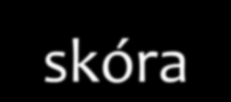 Sposób działania implantu fizyczne - biomechanika zależy od składu macierzy i zdolności żywych komórek w obrębie tego implantu do