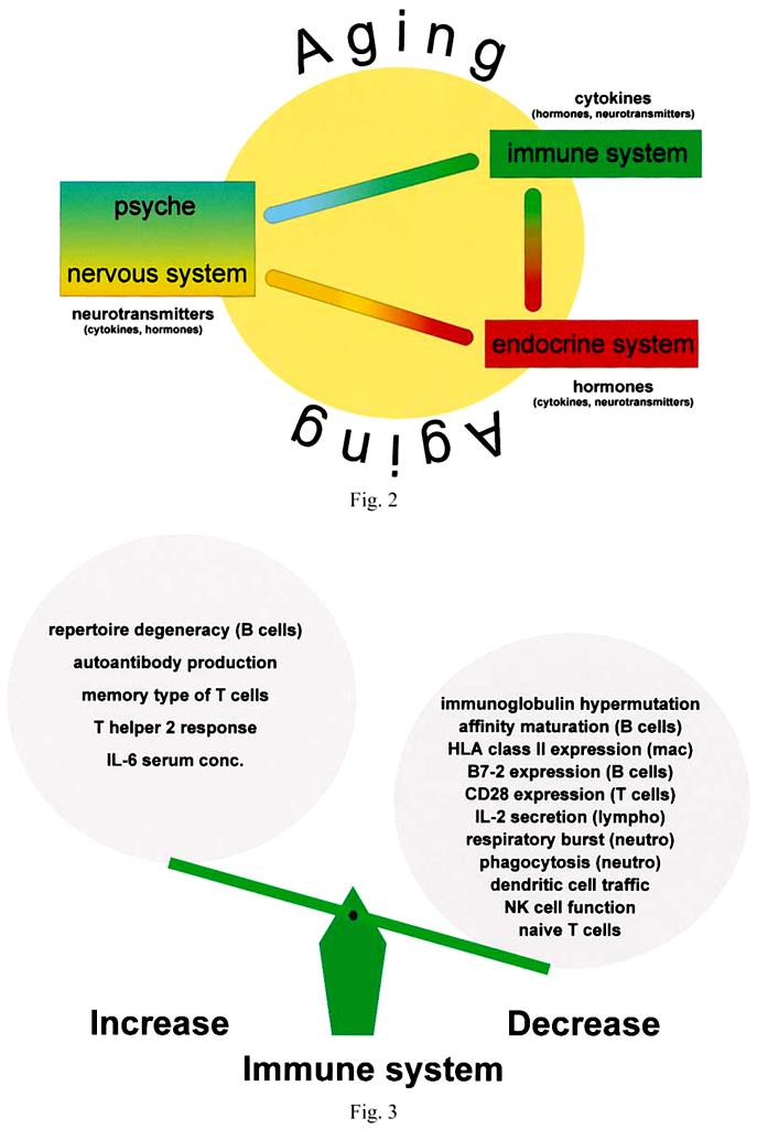 Współpraca 3 układów Straub