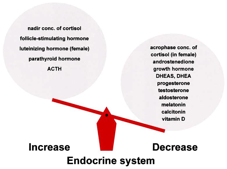 Typowe zmiany w układzie endokrynowym