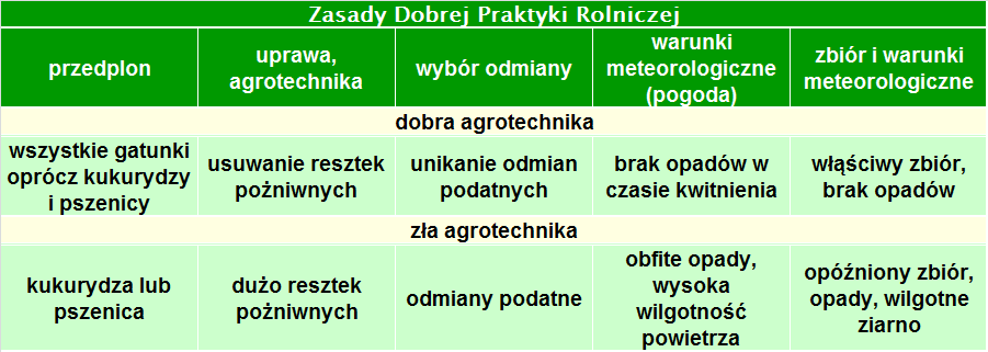 Mikotoksyny fuzaryjne - wskaźnikiem jakości ziarna kukurydzy i pasz Mikotoksyny są to toksyczne metabolity wtórne metabolizmu grzybów strzępkowych.