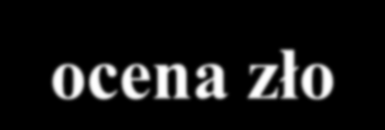 Instrukcja obsługi Dobrzyoska 2007 Firma doradcza opracowuje SIWZ: 1. opracowanie wymagań wobec systemu i dostawcy, 2.