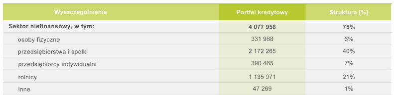 Portfel kredytów niefinansowych SGB (31.12.
