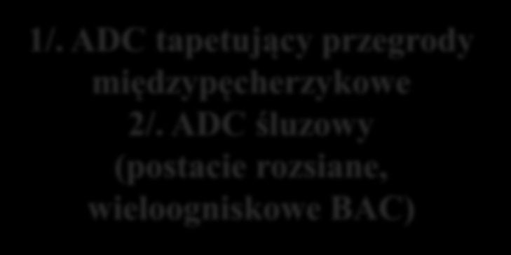 BAC ADC in situ (AIS) ADC minimally invasive (MIA) ADC naciekający Zmiany jednoogniskowe, 3 cm, szerzą się wzdłuż przegród mp