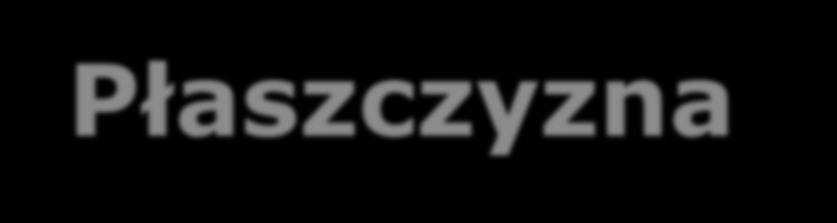 Płaszczyzna 1 Obszar 4: Konsultowanie przez samorząd terytorialny i organizacje pozarządowe założeń projektów i aktów normatywnych oraz zasad realizacji innych przedsięwzięć.