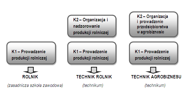 KOMENTARZ ANALITYCZNY 89 Rysunek 2. Usytuowanie kawlifikacji prowadzenie produkcji roniczej w kształceniu na poziomie zasadniczej szkoły zawodowej oraz technikum. 5.7.