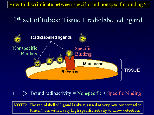 RECEPTORY [ 3 H] ligad RECEPTORY [ 3 H] ligad iespecyficze zimy ligad RECEPTORY [ 3 H] ligad Zarówo wiązaie specyficze (tz.