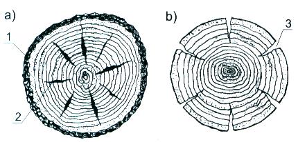 Rys. Pęknięcia suszonego drewna okrągłego: a) w korze, b) bez kory