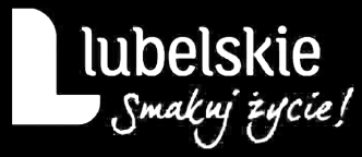 Serdecznie dziekujemy naszym sponsorom, bez których projekt pozostał by tylko w naszych głowach i komputerach. POLITECHNIKA LUBELSKA Pomoc finansowa. www.pollub.