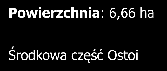 91D0-5 Borealna świerczyna bagienna