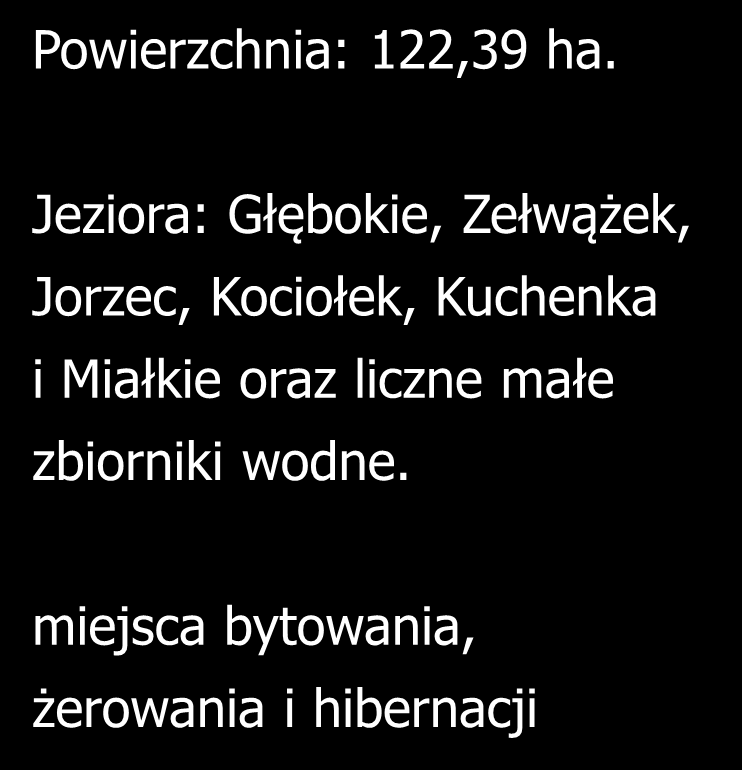 3150 Starorzecza i naturalne eutroficzne zbiorniki wodne Powierzchnia: 122,39 ha.