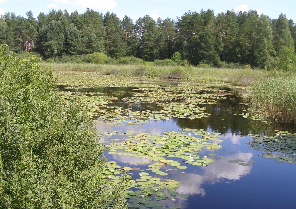 3150 Starorzecza i naturalne eutroficzne zbiorniki wodne Ogólny stan zachowania siedliska w sieci Natura 2000 na podstawie wyników raportowania