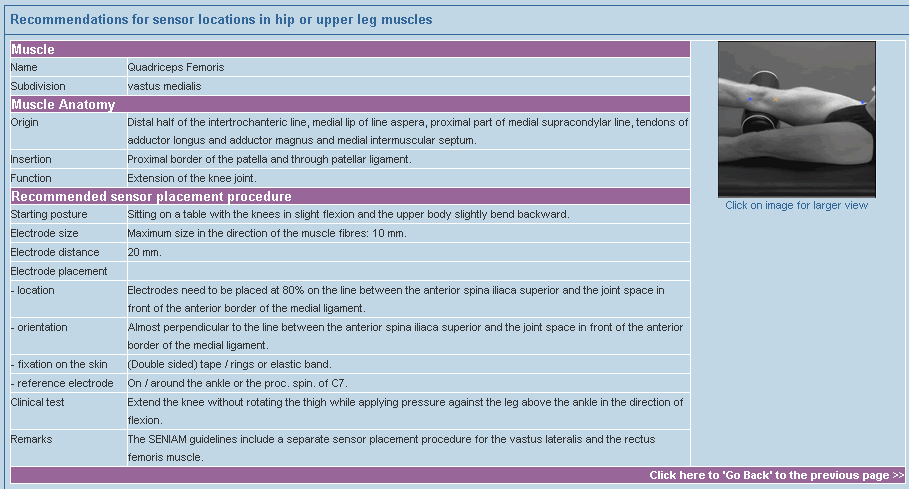 Standaryzacja aplikacji elektrod The European Recommendations for Surface Electromyography (SENIAM) Hermens H.J.