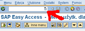 Dla każdego użytkownika Menu może być inne. Zależy to od roli jaką ma spełniać w systemie. Po systemie porusza się wywołując odpowiednie transakcje.