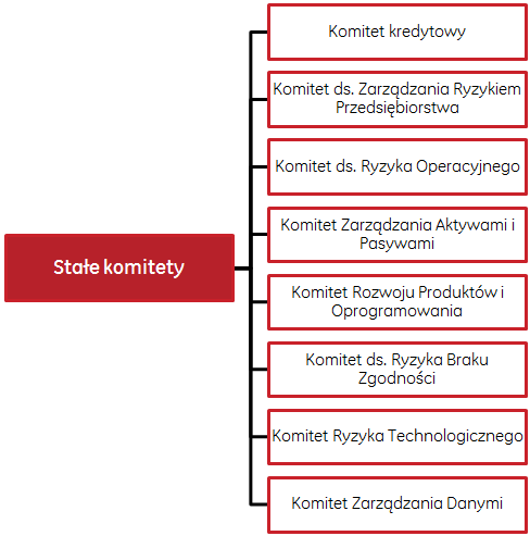 6.2 Struktura Zarządzania w 2015 roku 6.