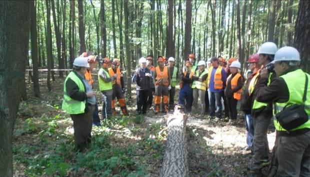 USTRONIE, seminarium dla pracodawców i pracowników świadczących usługi związane z pozyskaniem drewna, składające się z części wykładowej i praktycznej na pow. leśnej.