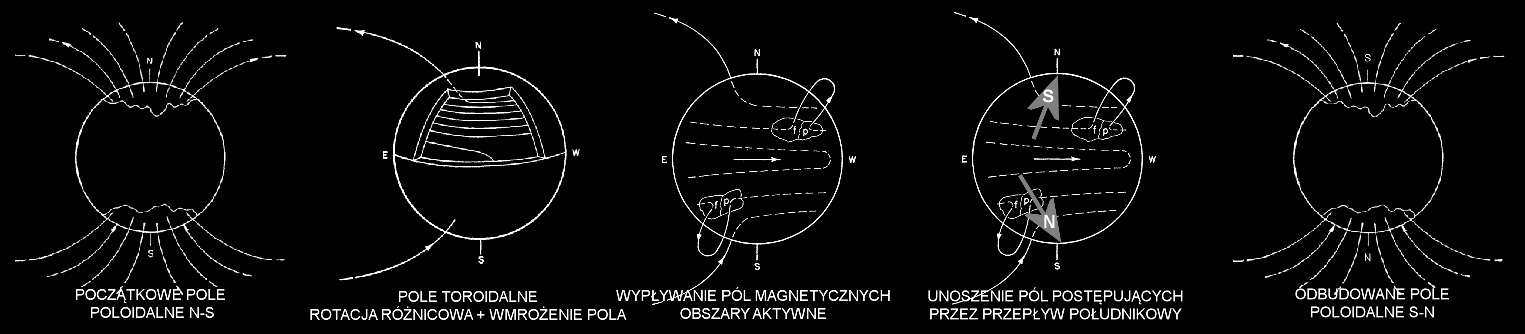 rotacja różnicowa DYMANO SŁONECZNE przepływ południkowy ~11 LAT 15-25 m/s rotacja różnicowa +