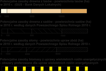 POTENCJAŁ BIOMASY