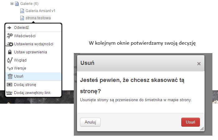 Wybieramy teraz akcję, którą chcemy wykonać. Możemy przenieść lub skopiować stronę w zależności od naszych potrzeb. 3.