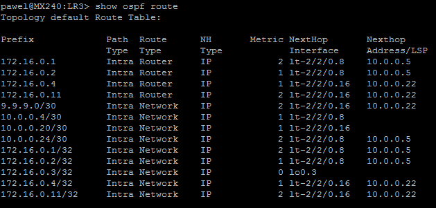 show ospf route www.