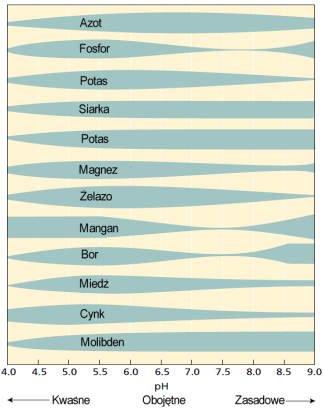 Zasobność gleb, a odczyn gleby 4,0 5,0 6,0 7,0 8,0 9,0 dostępność składników pokarmowych ph gleby Najlepsza